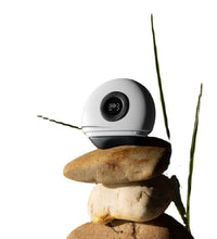 左点砭石按摩器